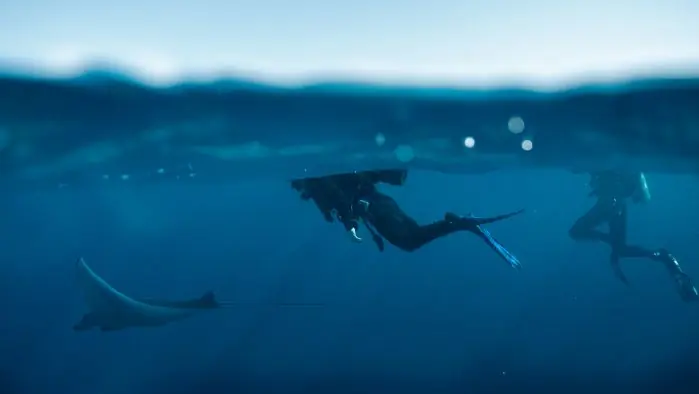 Underwater diver swimming near marine life in deep blue ocean