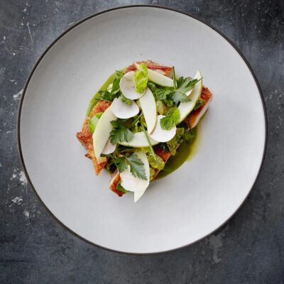 Gourmet dish with seared meat or fish, radish slices, green herbs, and artistic green sauce on white plate.