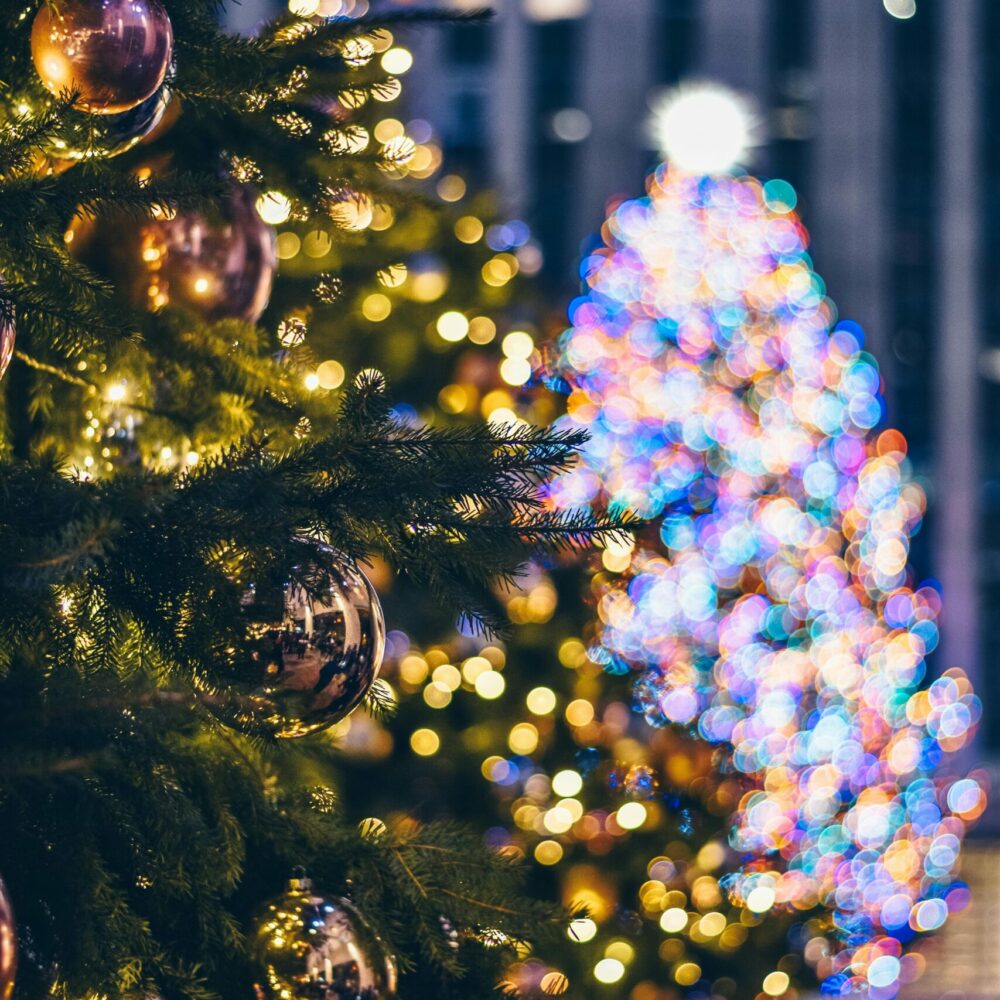 Two Christmas trees in city plaza, one with gold ornaments and one with multicolored lights in background.