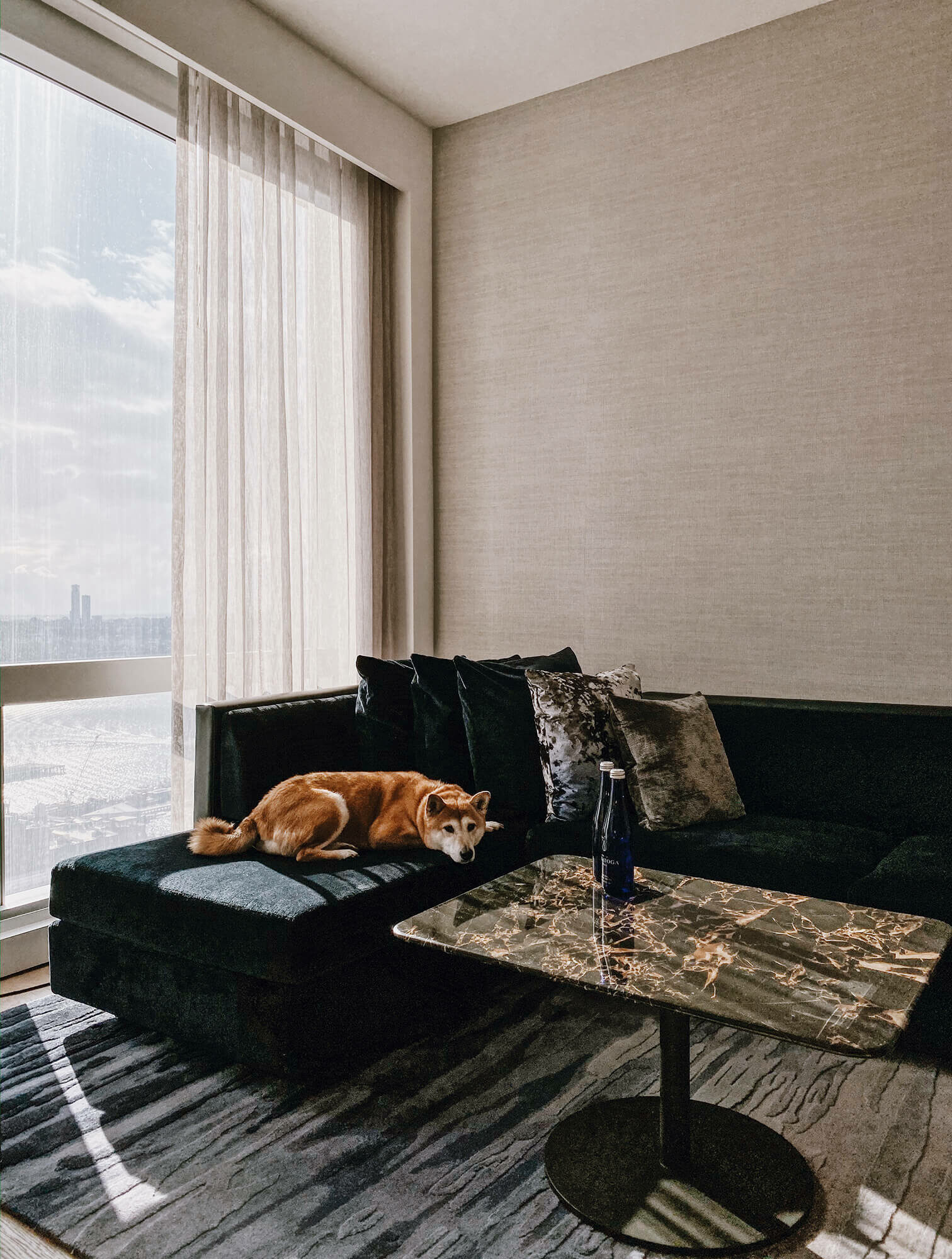 Modern living room with dark sofa, marble table, and dog lounging in sunlight by large window.