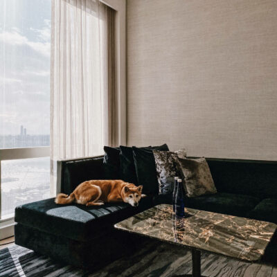 Modern living room with dark sofa, marble table, and dog lounging in sunlight by large window.