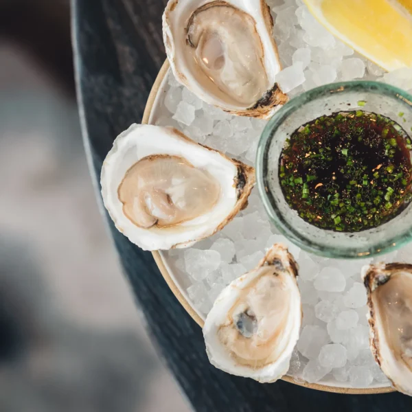 Elegant plate of fresh oysters on crushed ice with lemon wedges and herb-topped sauce, evoking refined coastal indulgence