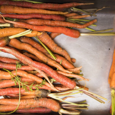 Loose carrots scattered over soft white fabric, emphasizing organic form and earthy simplicity