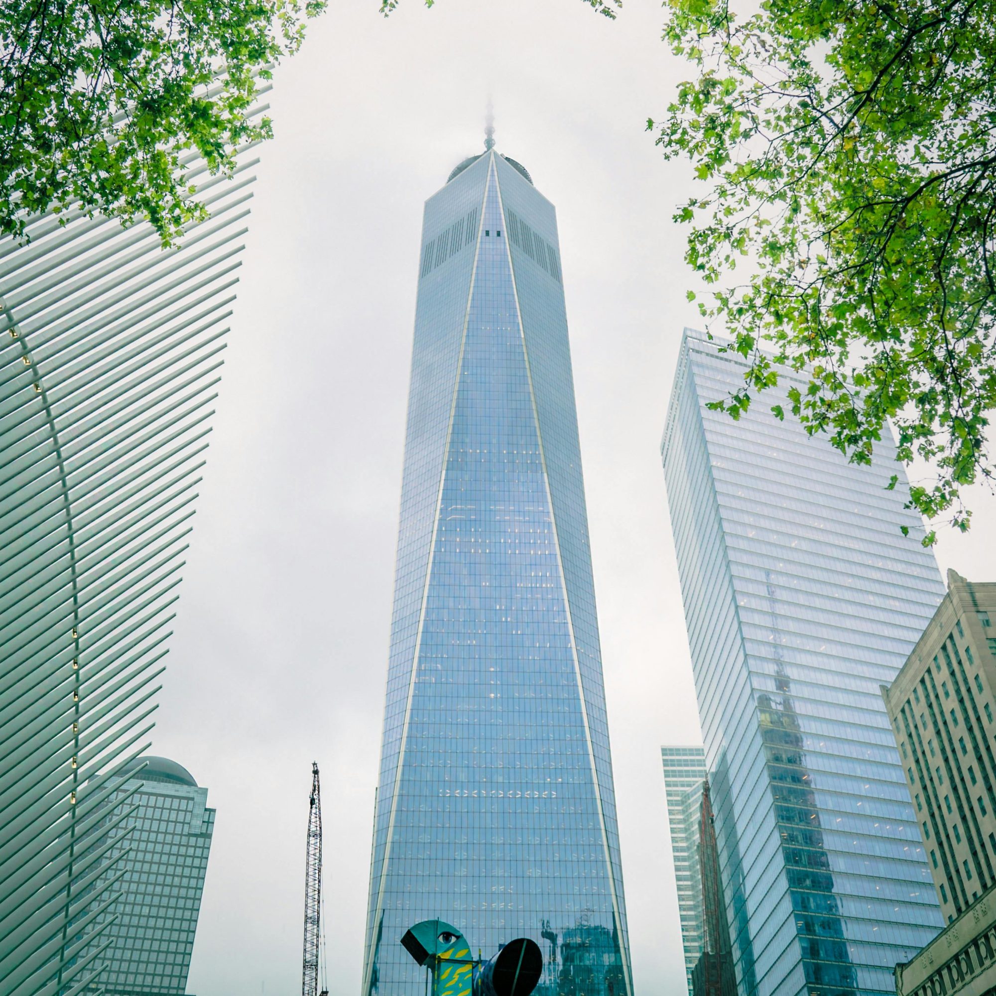 One World Trade Center viewed from below, framed by trees and nearby buildings in Lower Manhattan New York