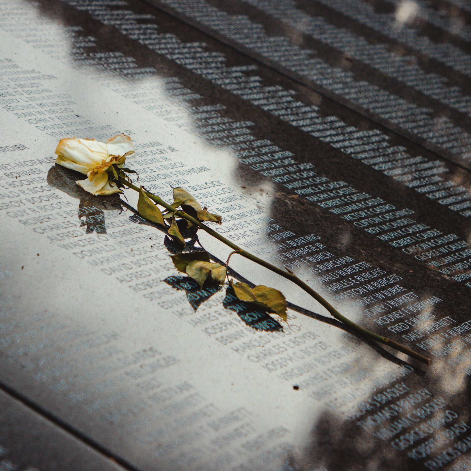 White rose resting on engraved names at the 9/11 Memorial reflecting pool, symbolizing remembrance in New York City