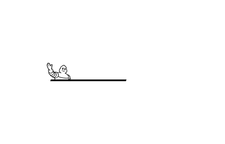 MICHELIN-GUIDE white logo