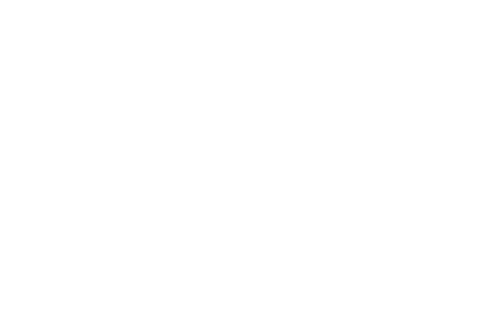 WSJ white logo