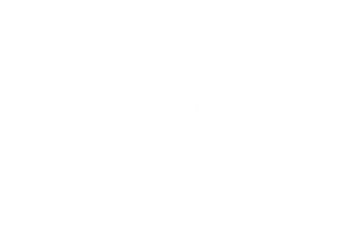 Fortune logo on a plain white rectangle, displaying no shapes, text, or other elements.