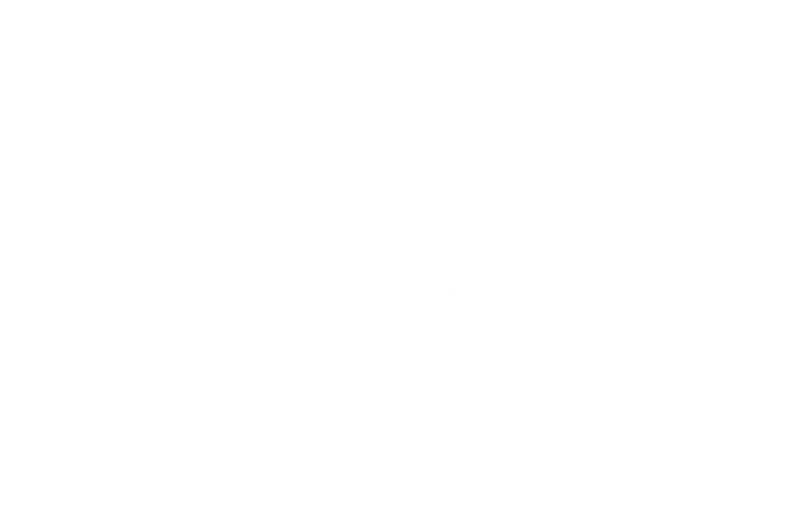 THE POINTS GUY logo on a plain white rectangle, displaying no shapes, text, or other elements.