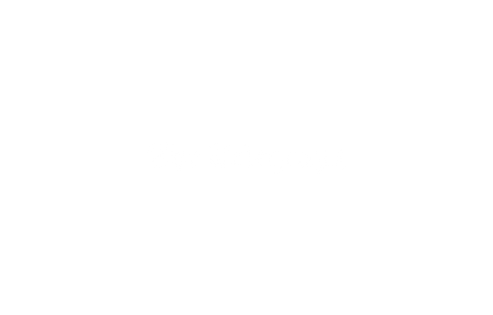 The Telegraph logo on a plain white rectangle, displaying no shapes, text, or other elements.
