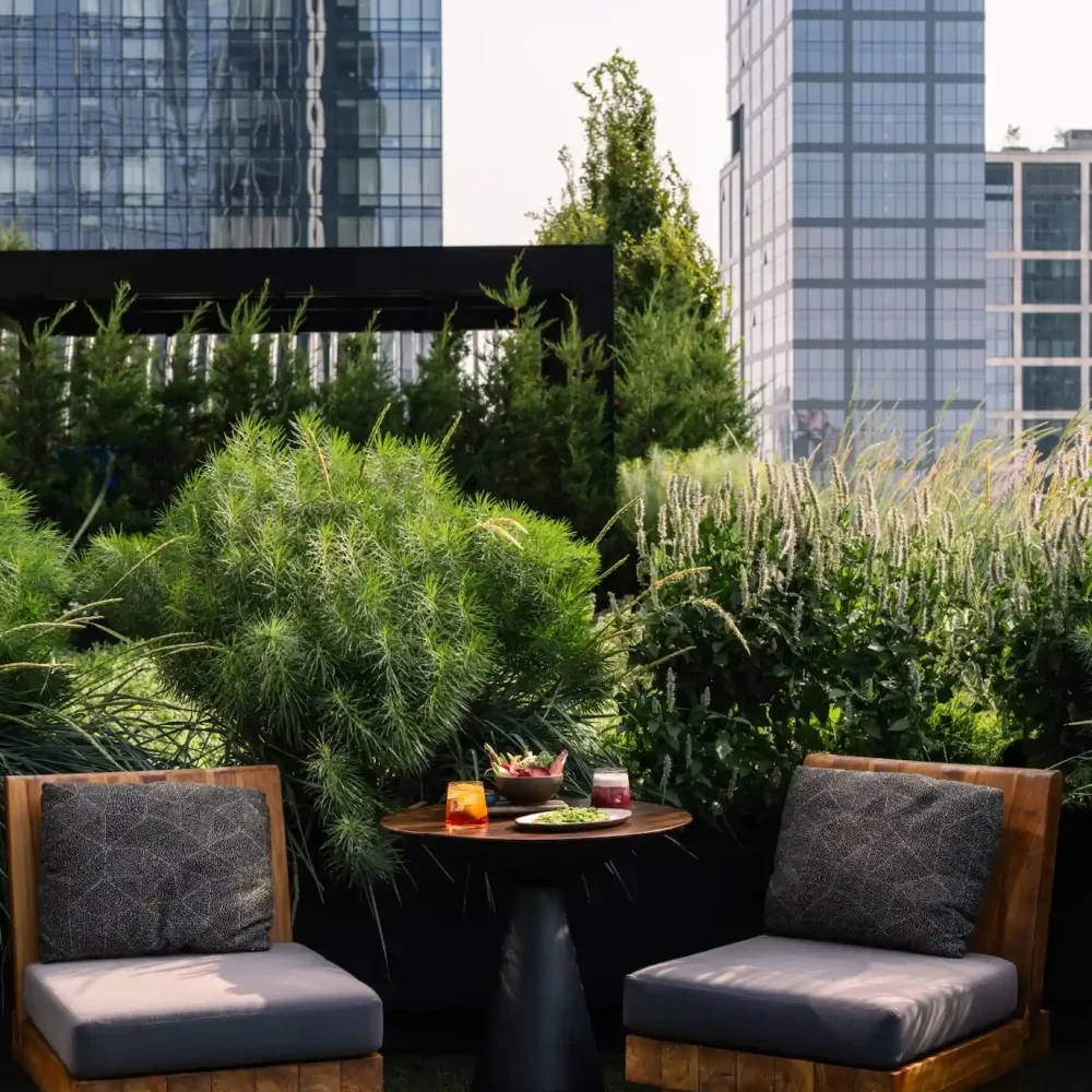 Two cushioned chairs and table with salad, green beans and drinks in lush urban garden setting