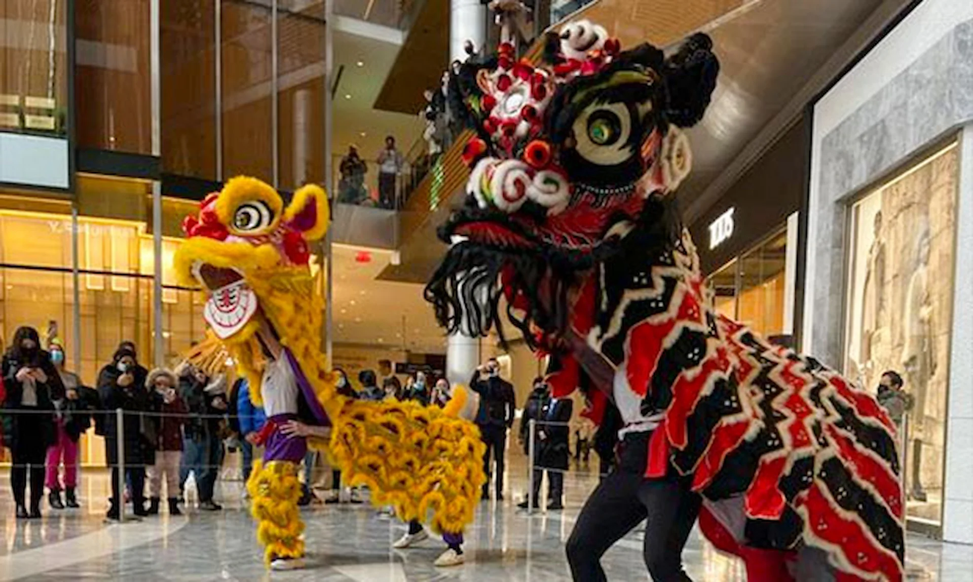 Lion dance with yellow and black costumes performed in upscale mall during festive cultural celebration