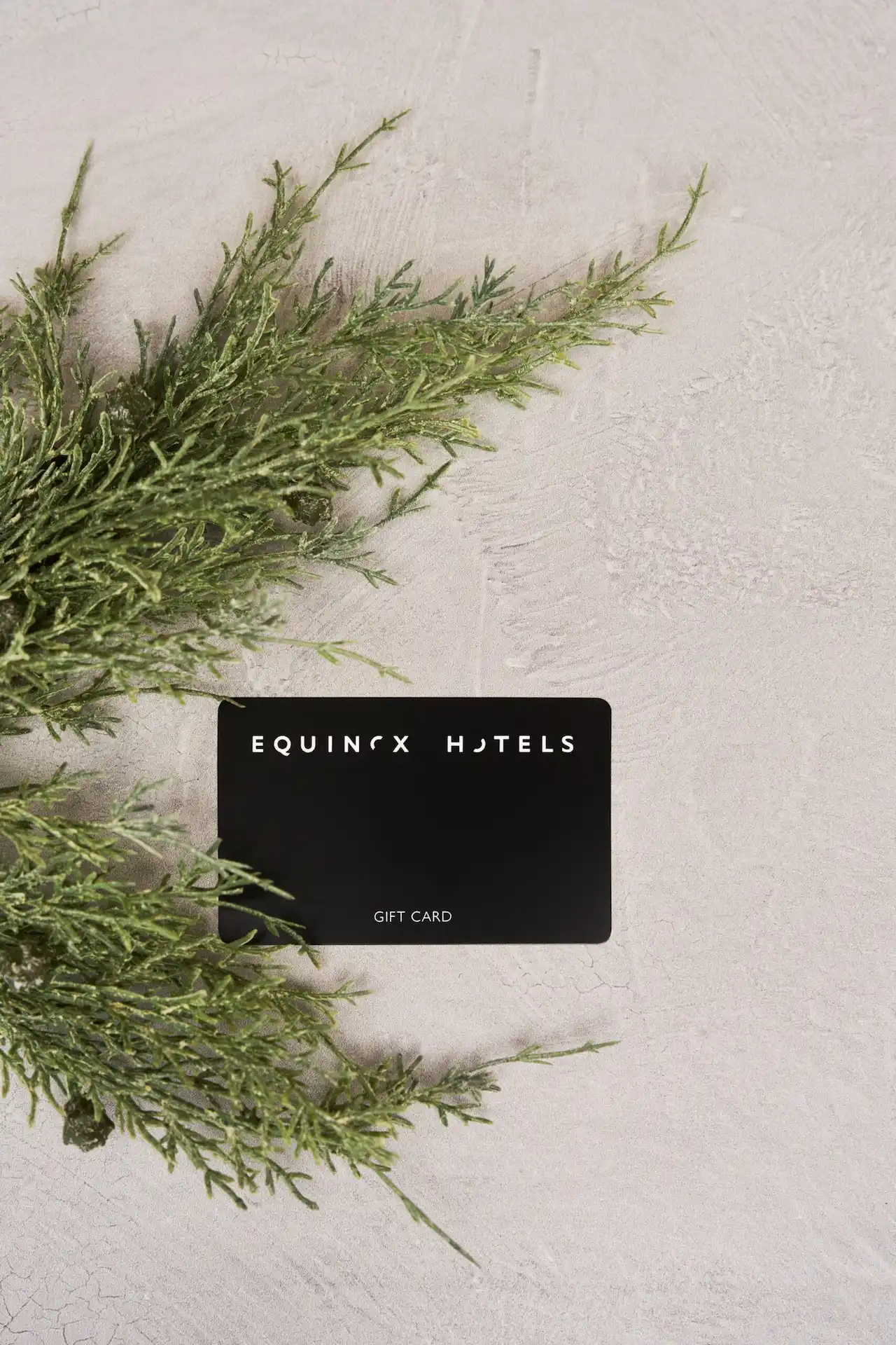 Equinox Hotels black gift card resting on textured stone surface, framed by fresh green foliage for a modern, serene feel.